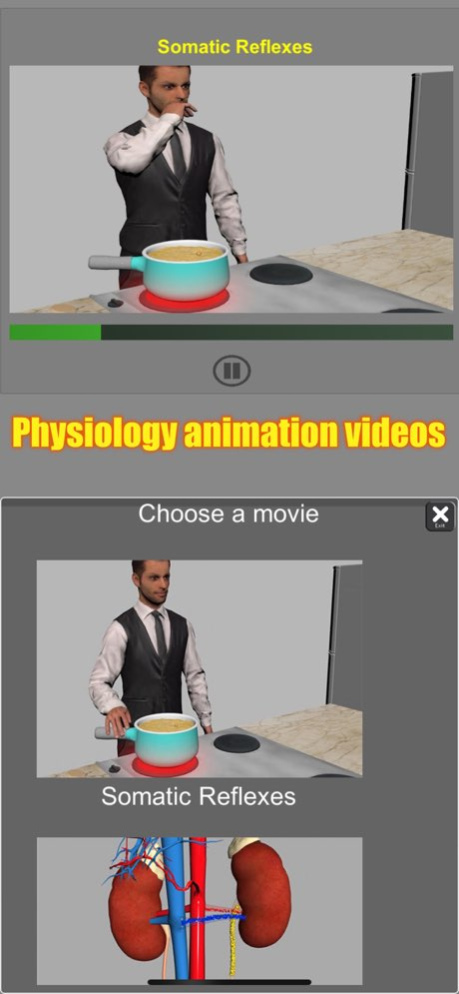 3D Anatomy 6.9 Screenshot
