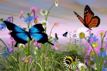 3D Butterfly Wallpaper  Download to your mobile from PHONEKY