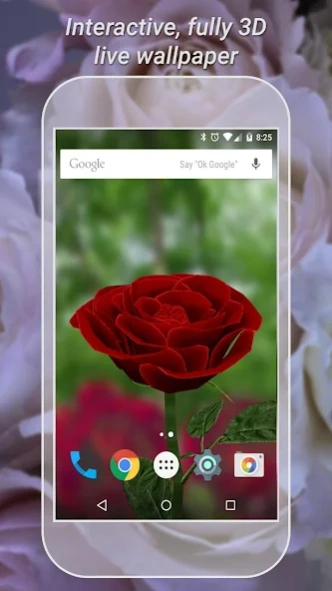Review Screenshot - Have a Rose as Your Phone’s Live Wallpaper