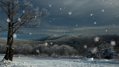 3D Snowfall HD Live Wallpaper  Free Download