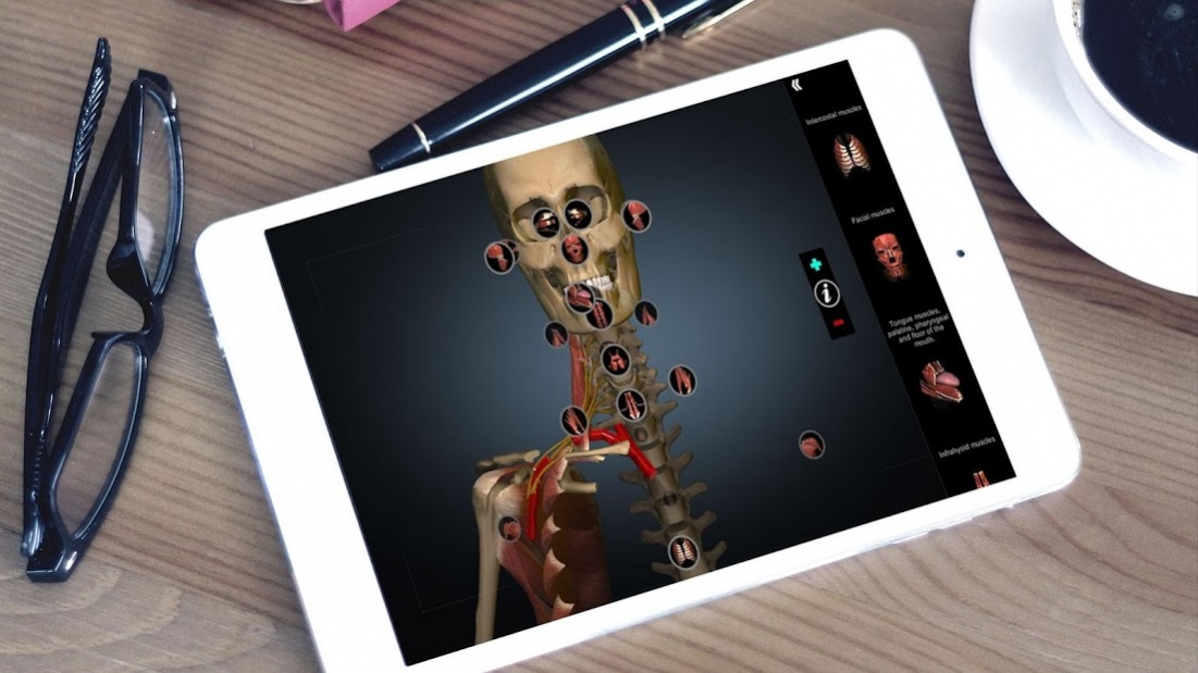 AnatomyLearning 3D OFFLINE - FULL UNLOCKED 2.1 Screenshot