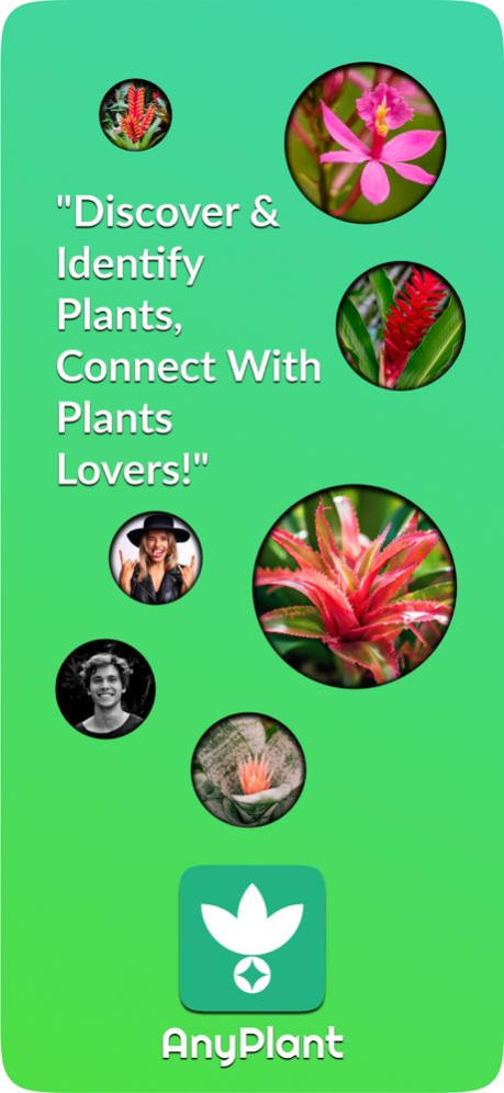AnyPlant: Ai Plant Identifier 10.0 Screenshot