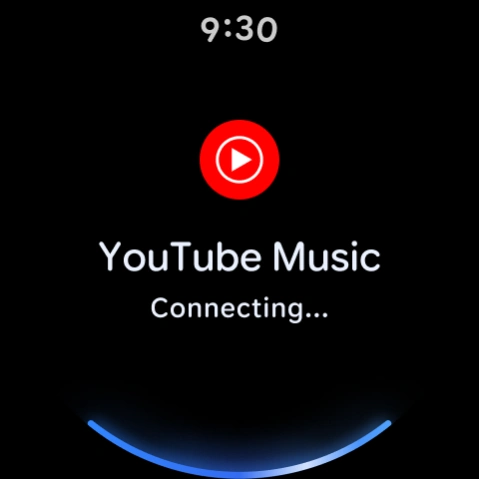Google Gemini on Wear OS 1.28.433.838793967 Screenshot