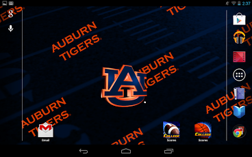 Auburn University Tigers  Stephen Clark sgclarkcom