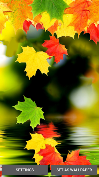 autumn animated wallpaper