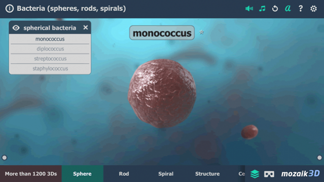 Bacteria interactive educational