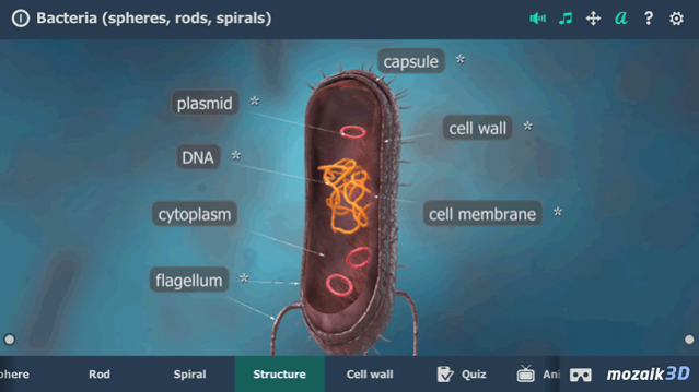 Bacteria interactive educational