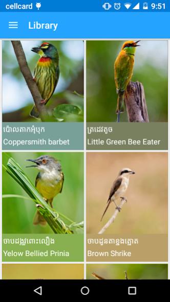 Baksey, The Cambodia Birds 2.0.0 Screenshot