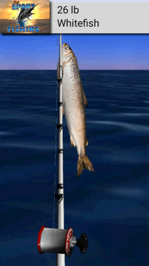 Big Sport Fishing