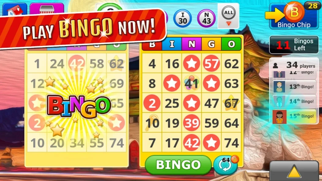 Bingo Craze 4.1.3.1 Screenshot