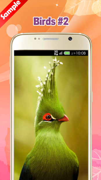 Bird Wallpaper 1 5 Free Download