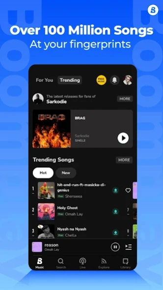 Review Screenshot - A Unique and Feature-Rich Music Player
