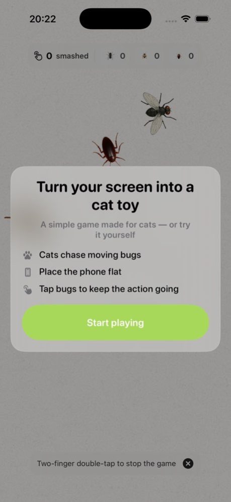 Bug Chase – Game for Cats 1.0.2 Screenshot