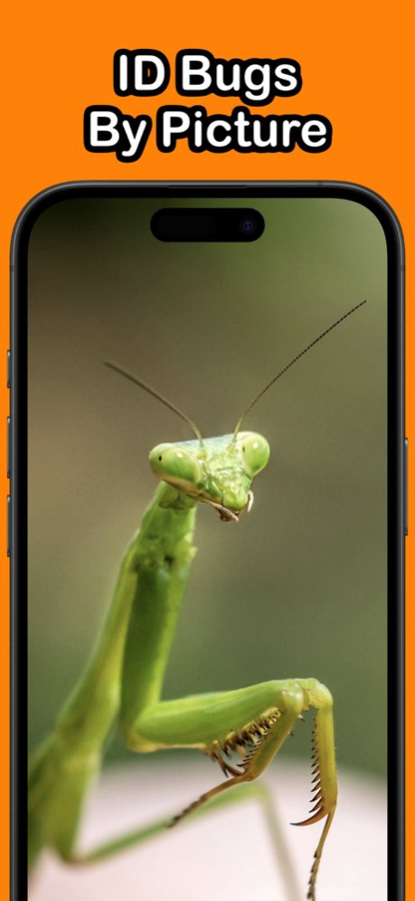 Bug Identifier - BugSnap 1.2 Screenshot