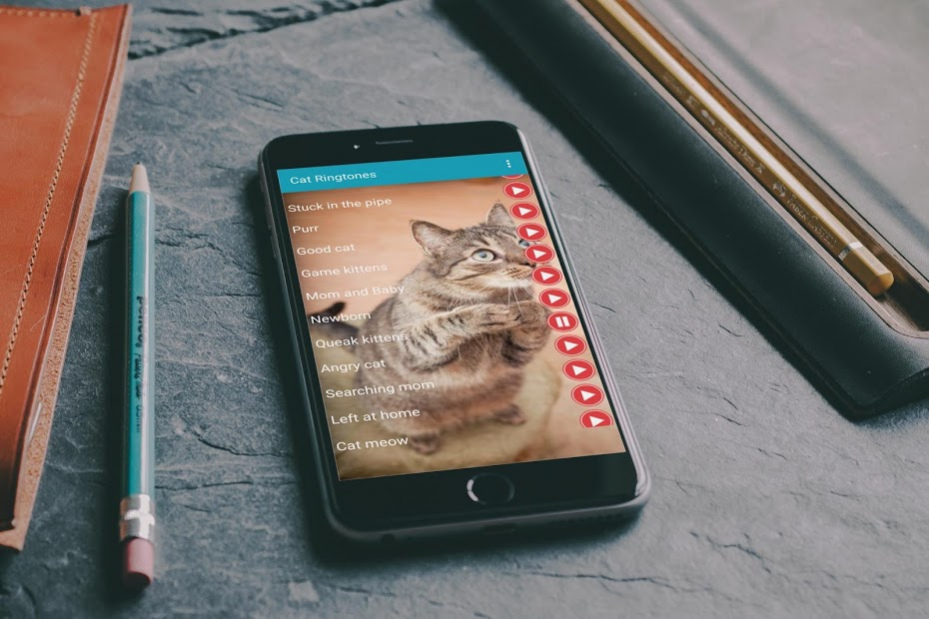 Cat Sounds Ringtones Purr 1 2 1078 Free Download