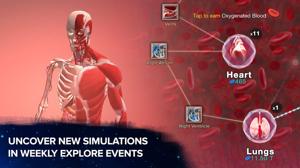 Review Screenshot - Clicker Game – Learn About the Different Stages of Evolution