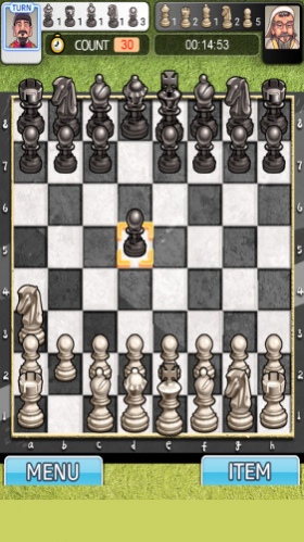 Chess Master King