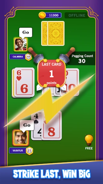Cribbage 8.0 Screenshot