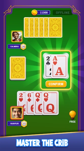 Cribbage 8.0 Screenshot