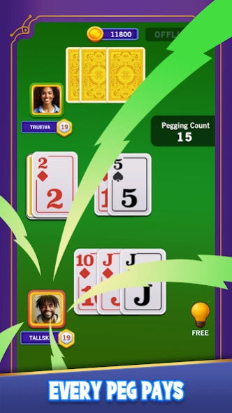Cribbage 8.0 Screenshot