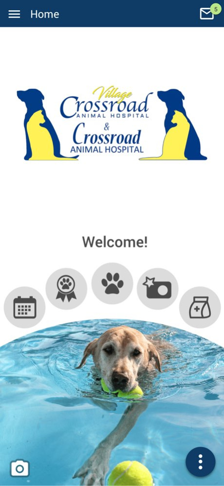 CrossroadVet 300000.3.44 Screenshot