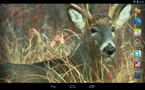 Deer Hunting Live Wallpaper 5.0.0 Free