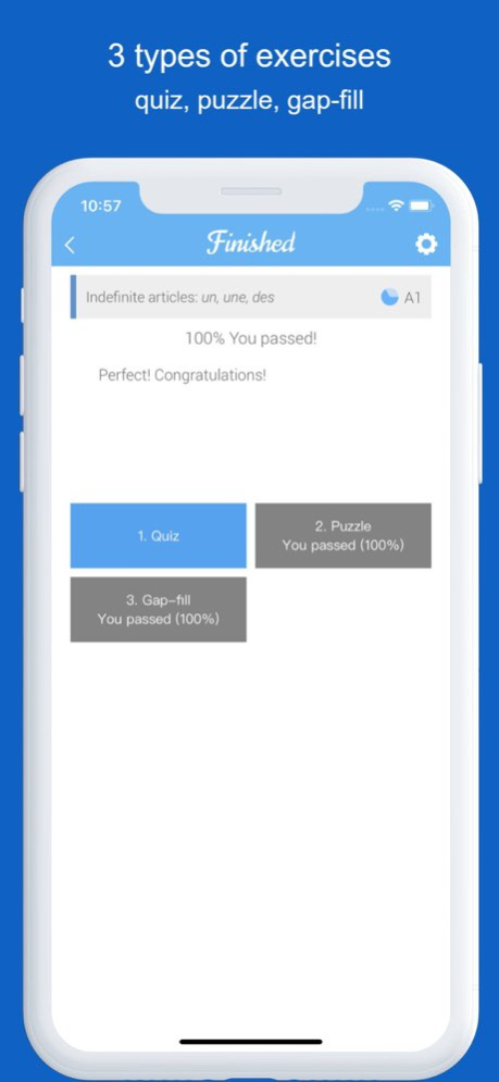 Dr French: French grammar 1.1.11 Screenshot