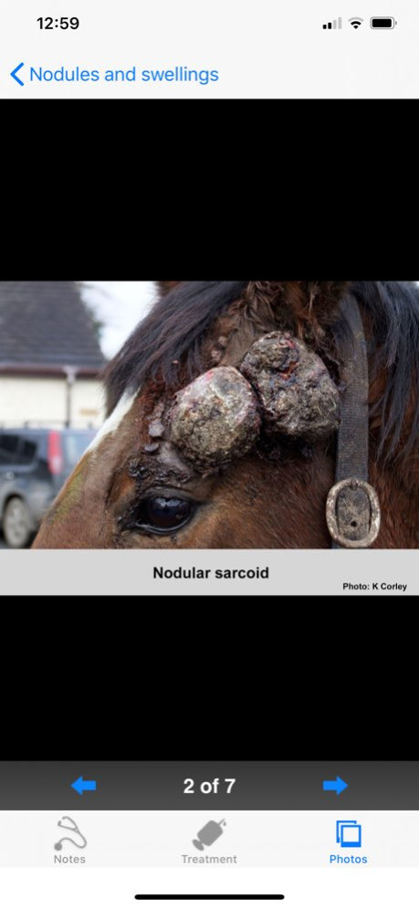 Equine Dermatology 1.3 Screenshot