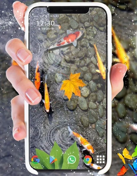 moving fish wallpaper for iphone