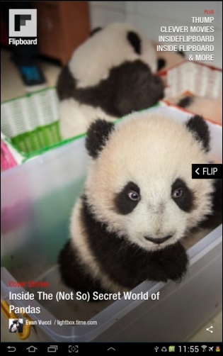 Flipboard - Panda!