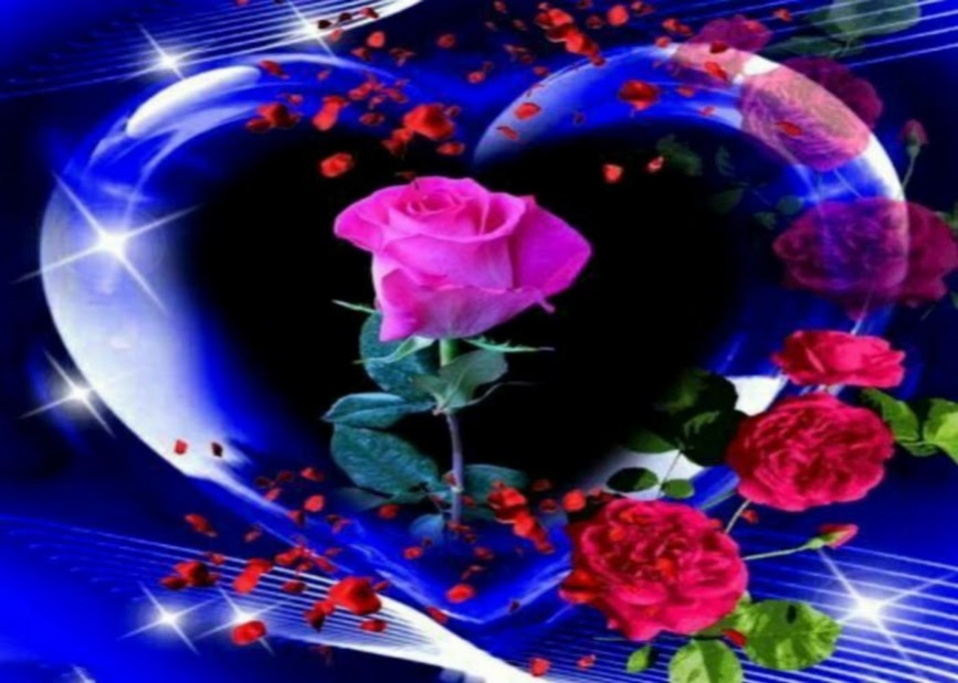 Rose Flower GIF - Roses Flowers Animated GIF Free Download in 2023