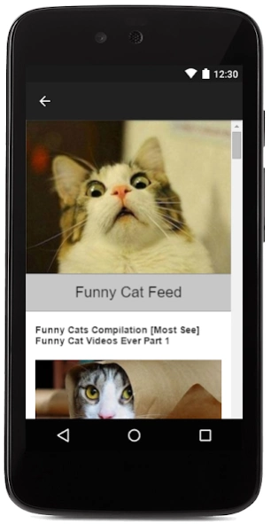 Funny Cats & Kittens Gallery 1.0 Screenshot