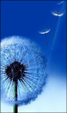Galaxy Note 2 Live Wallpaper  Free Download