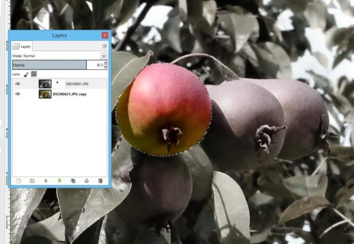 Gimp - GNU Image manipulation Program