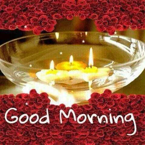 Good Morning Flowers 17.5.2 Free Download