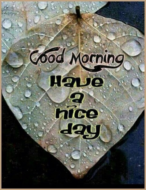 Good morning sales photos 2020