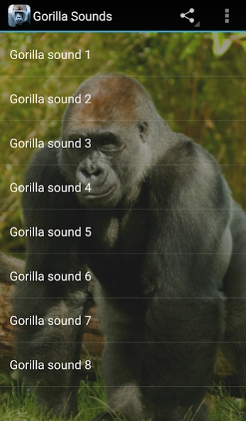 Gorilla Sounds 3.0.1 Screenshot