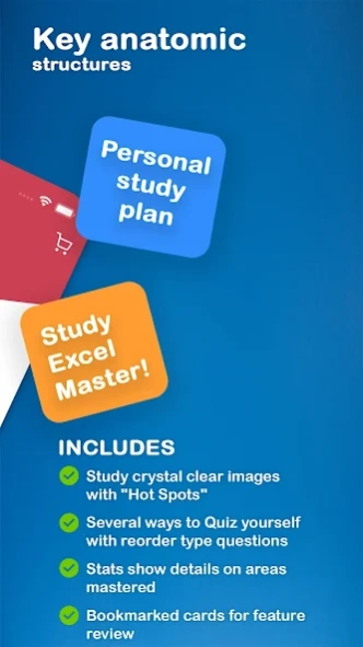 Gray's Anatomy Flash Cards 4.17.0 Screenshot