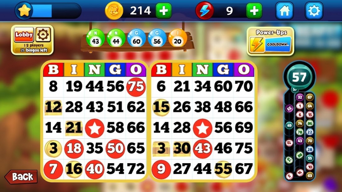 Happy slots bingo