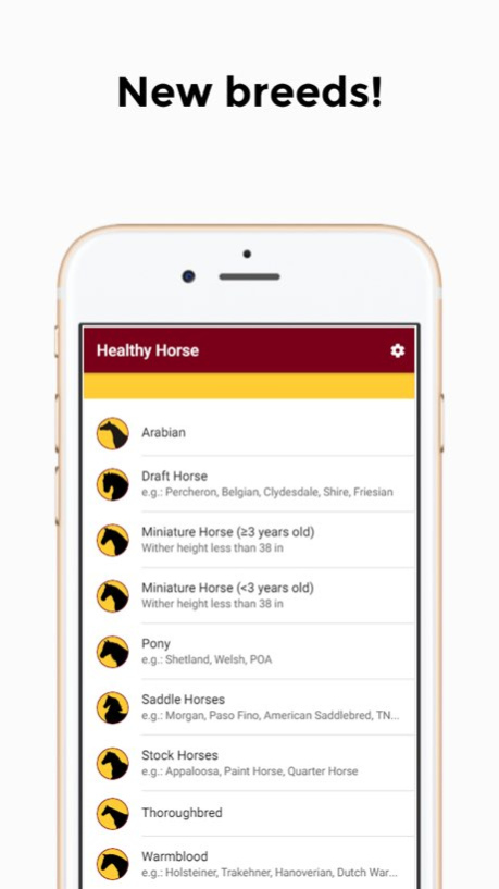 Healthy Horse 2.0.2 Screenshot