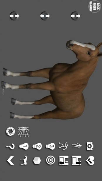 Horse Pose Tool 3d 6 8 105 Free Download