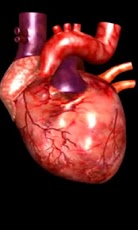 HD heart blood wallpapers  Peakpx
