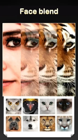 Review Screenshot - Create Magical Photos With Animal Faces