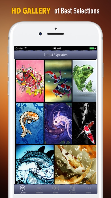 Japanese Koi Fish Wallpapers Hd Quotes Free Download