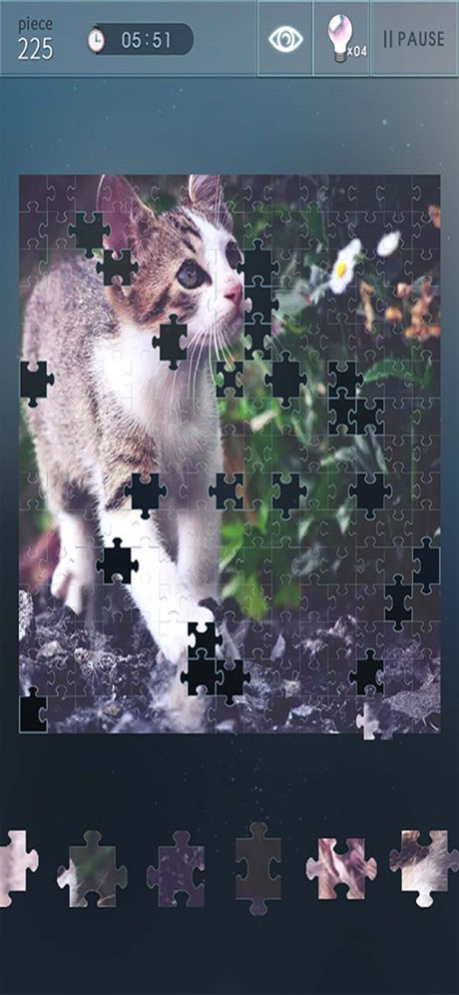Jigsaw Puzzle World! 1.2.10 Screenshot