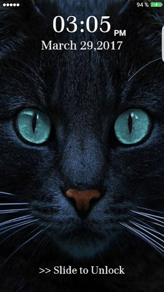 Kitty Cat Pin Lock Screen 16.3 Screenshot