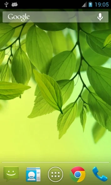 Review Screenshot - Live Wallpaper – See Leaves Float on Your Home Screen
