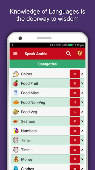 Learn Arabic Language Offline Screenshot