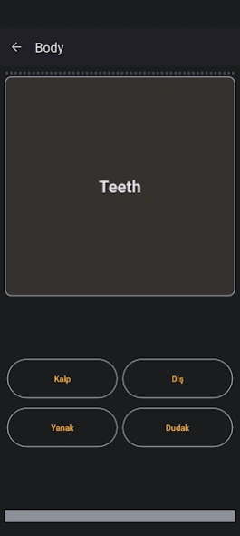 Learn Turkish 7.1 Screenshot