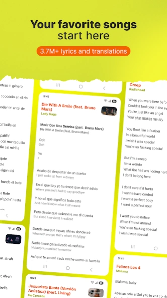 Review Screenshot - Song Translation App – Understand What the Singer is Singing About